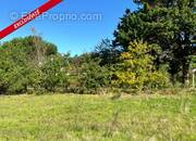 Terrain à CHANTERAC