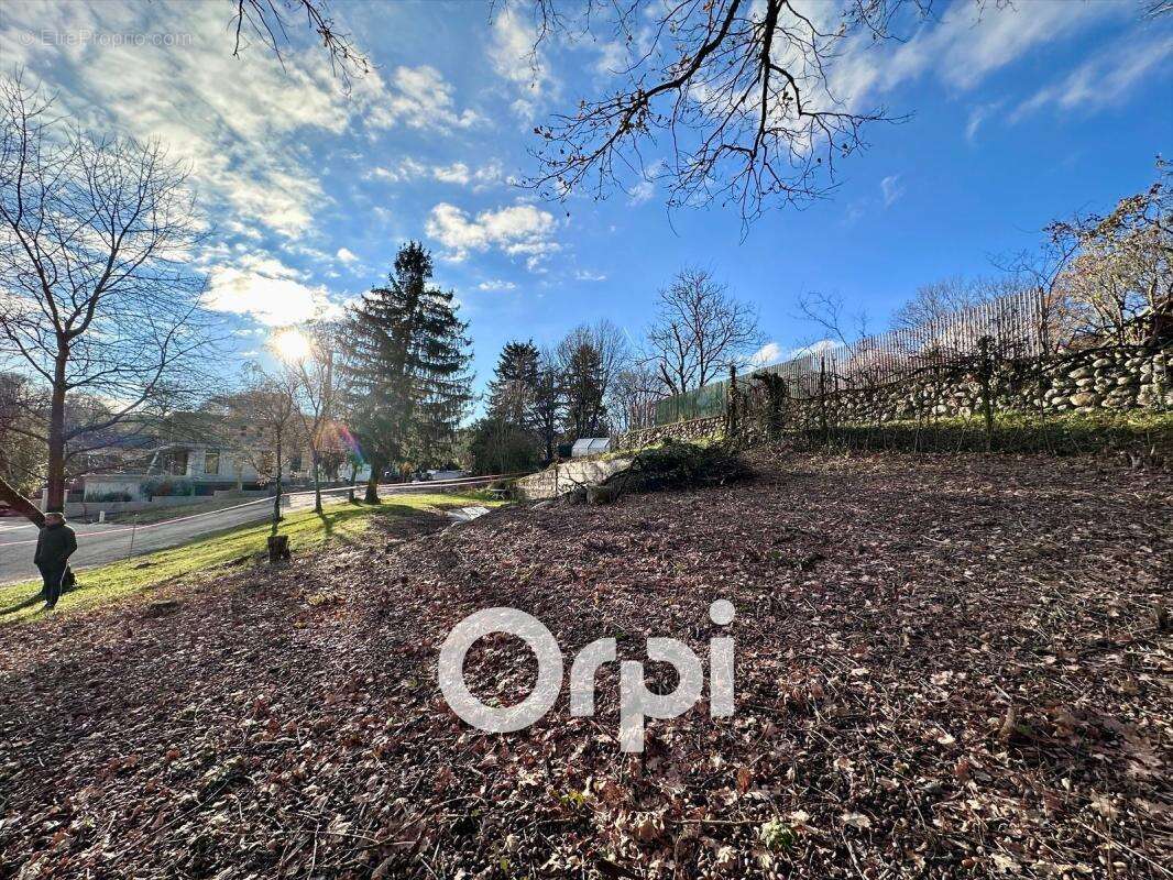 Terrain à BRIE-ET-ANGONNES