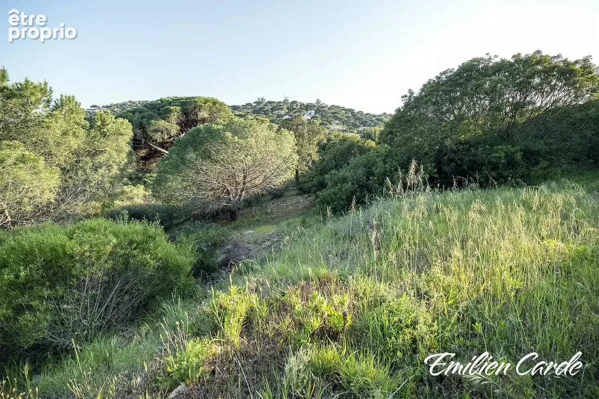 Terrain 2270 m² à Sainte-Maxime  - photo 5