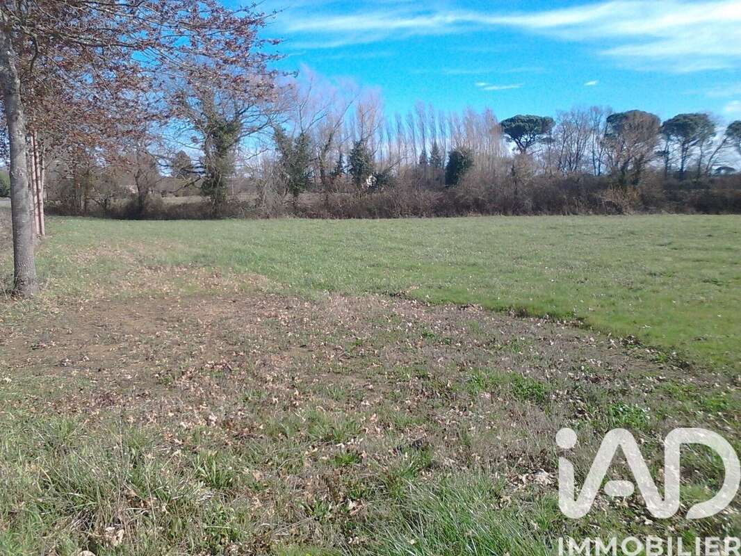 Terrain 2776 m² à Campagne-D'armagnac  - photo 2