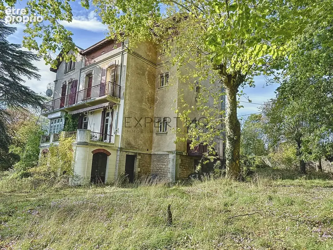 Maison de maître 1906   vue panoramique exceptionnelle sur la saône - photo 24