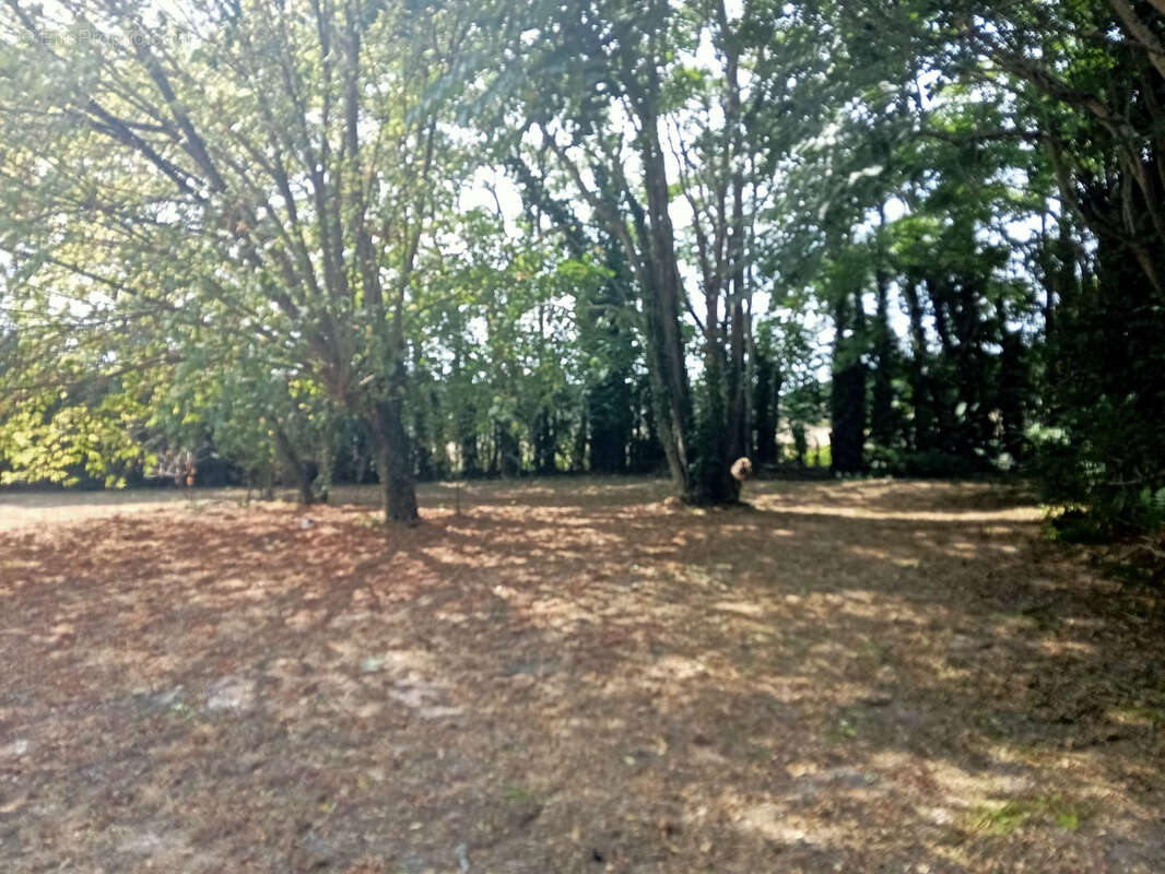 Maison à CIVRAC-EN-MEDOC