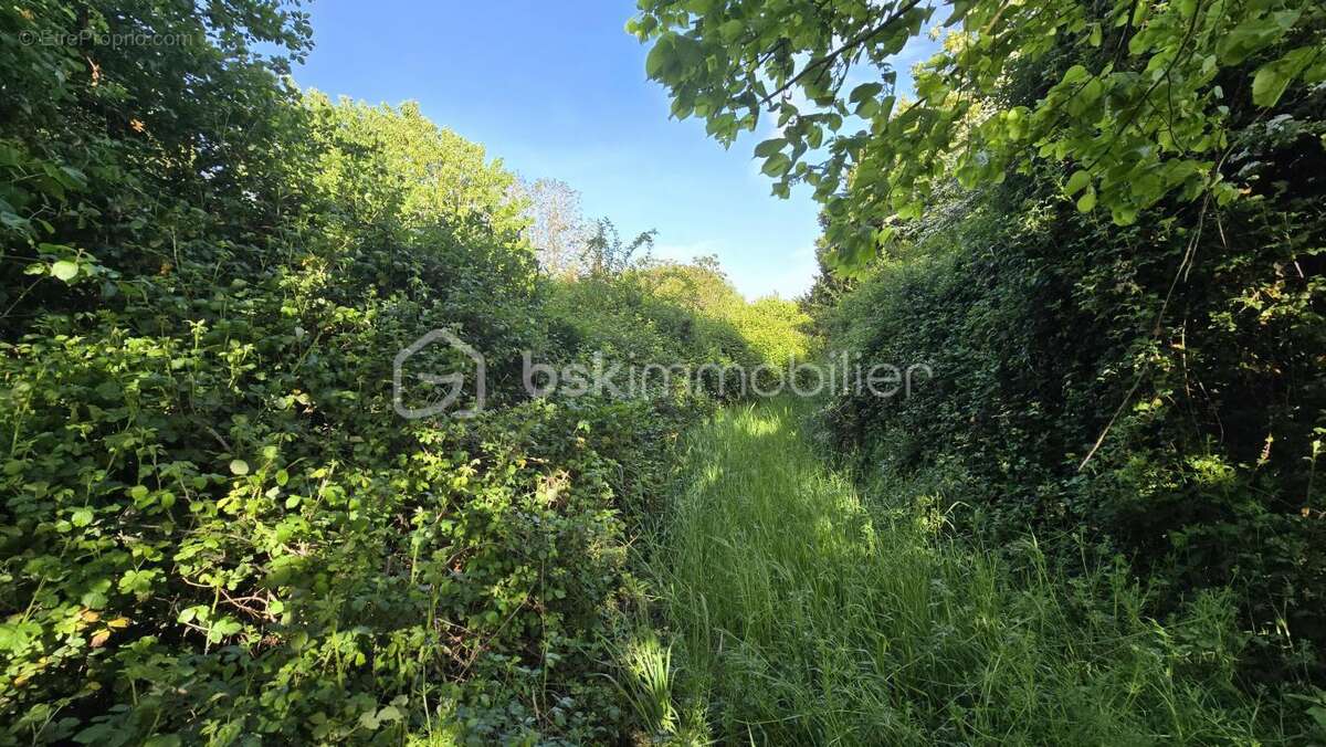 Maison à SAINT-SAUVANT