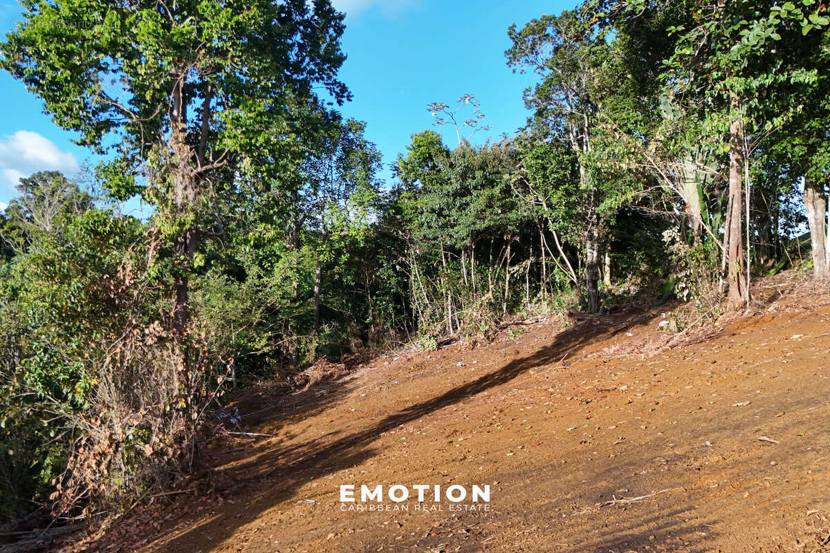 Terrain à PETIT-BOURG