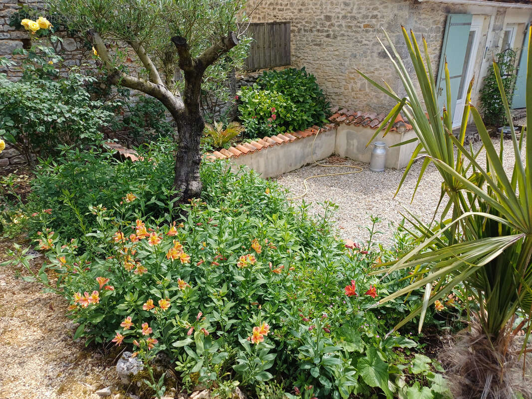 Maison à BARRO