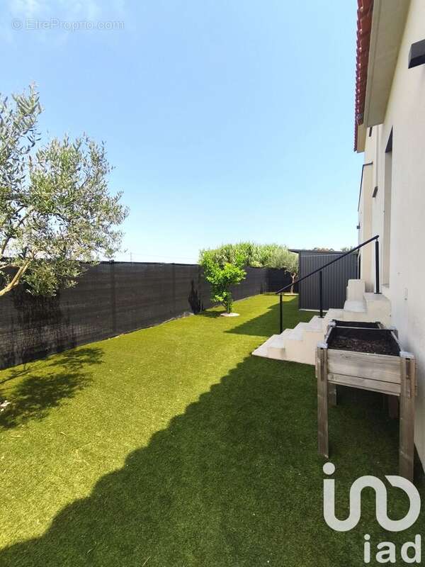 Photo 8 - Maison à VILLELONGUE-DE-LA-SALANQUE