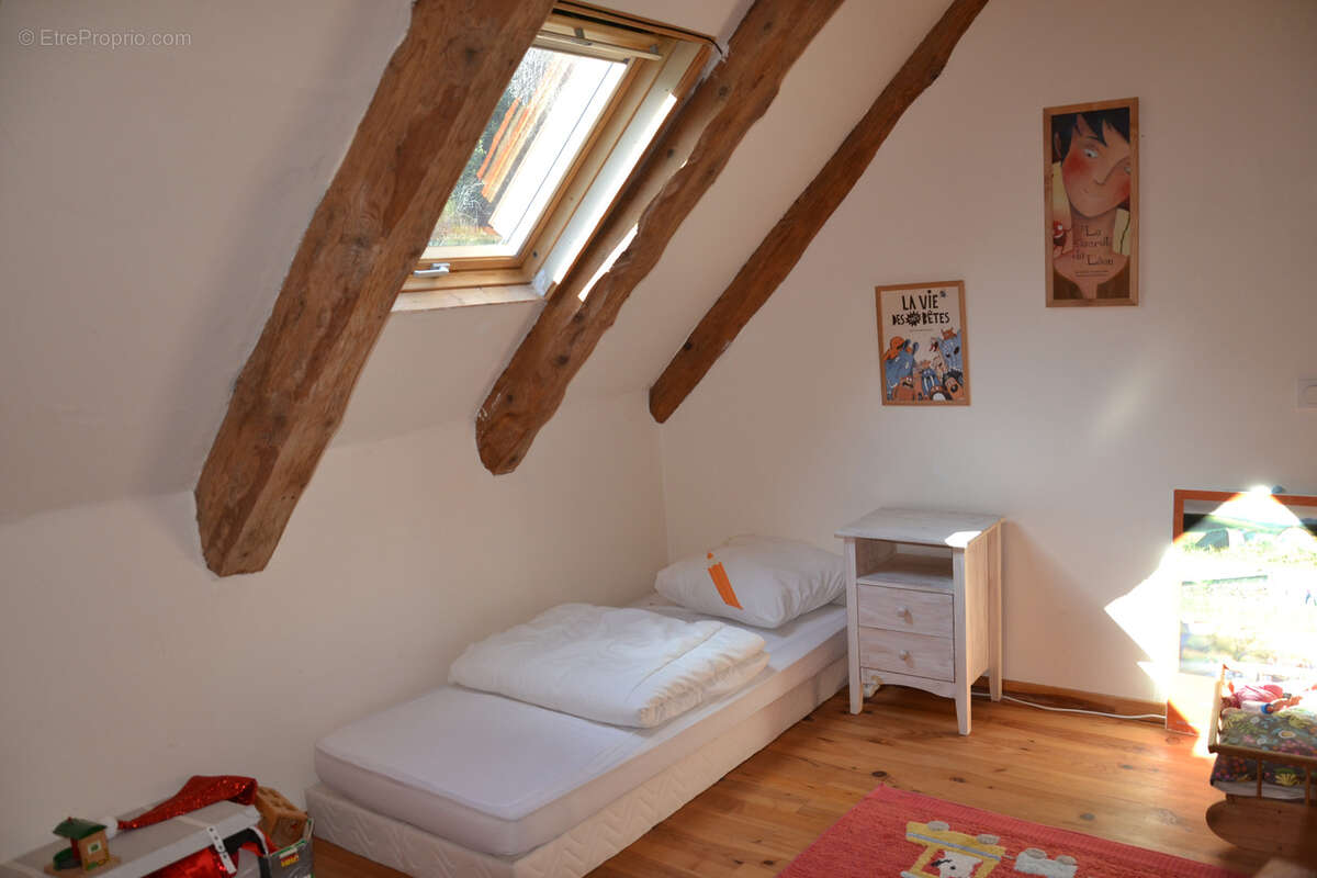 Belle maison composée de 2 gîtes dans un magnifique environnement proche Sancy - photo 12