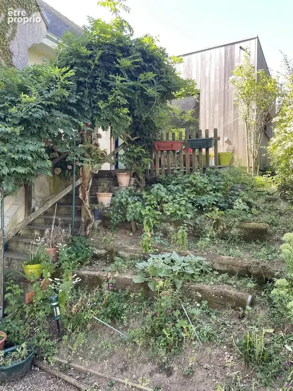 MONTREUIL-BELLAY, grande maison sur 1,7 hectares de terrain - photo 5