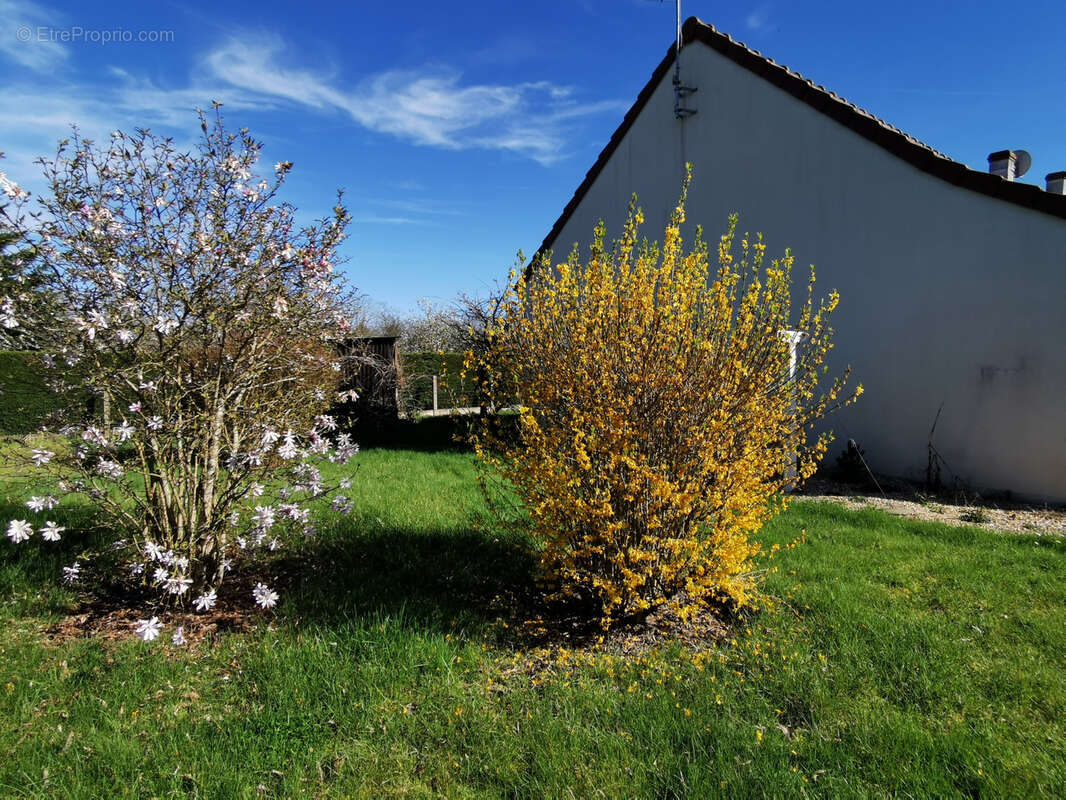 Maison à ROMORANTIN-LANTHENAY