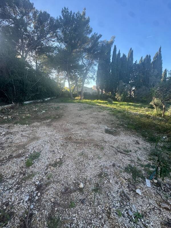 Terrain à MARTIGUES