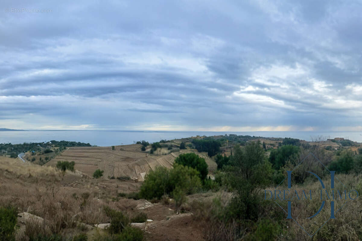 Terrain à COLLIOURE