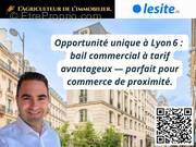 Fabien SANTOS-LocalCommercial-DroitAuBail-Lyon-Immobilier - Autre à LYON-6E