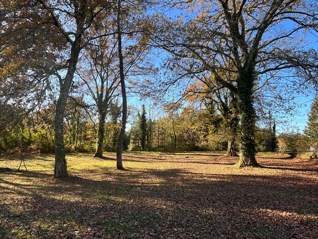 Maison à SAINT-YAGUEN