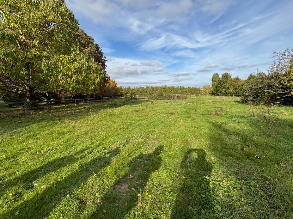 Terrain à THOIRY
