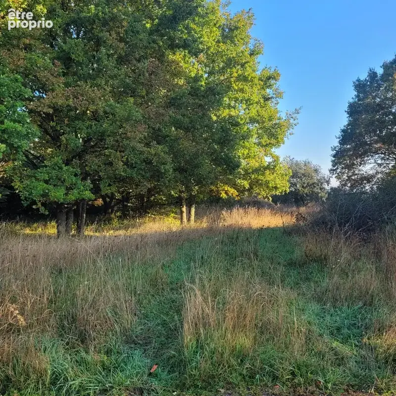 Terrain 919 m² à vendre à Perthes (77930) - photo 3