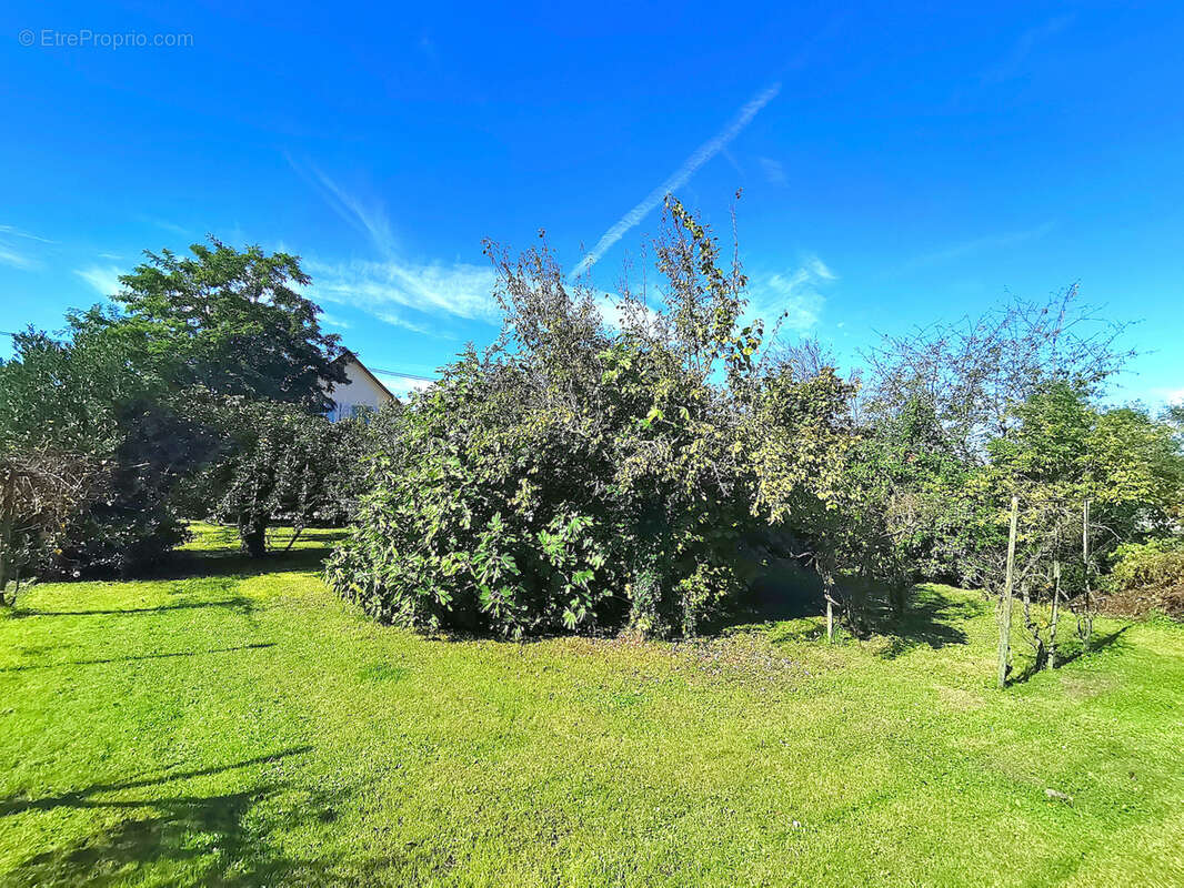 Maison à VOLGELSHEIM