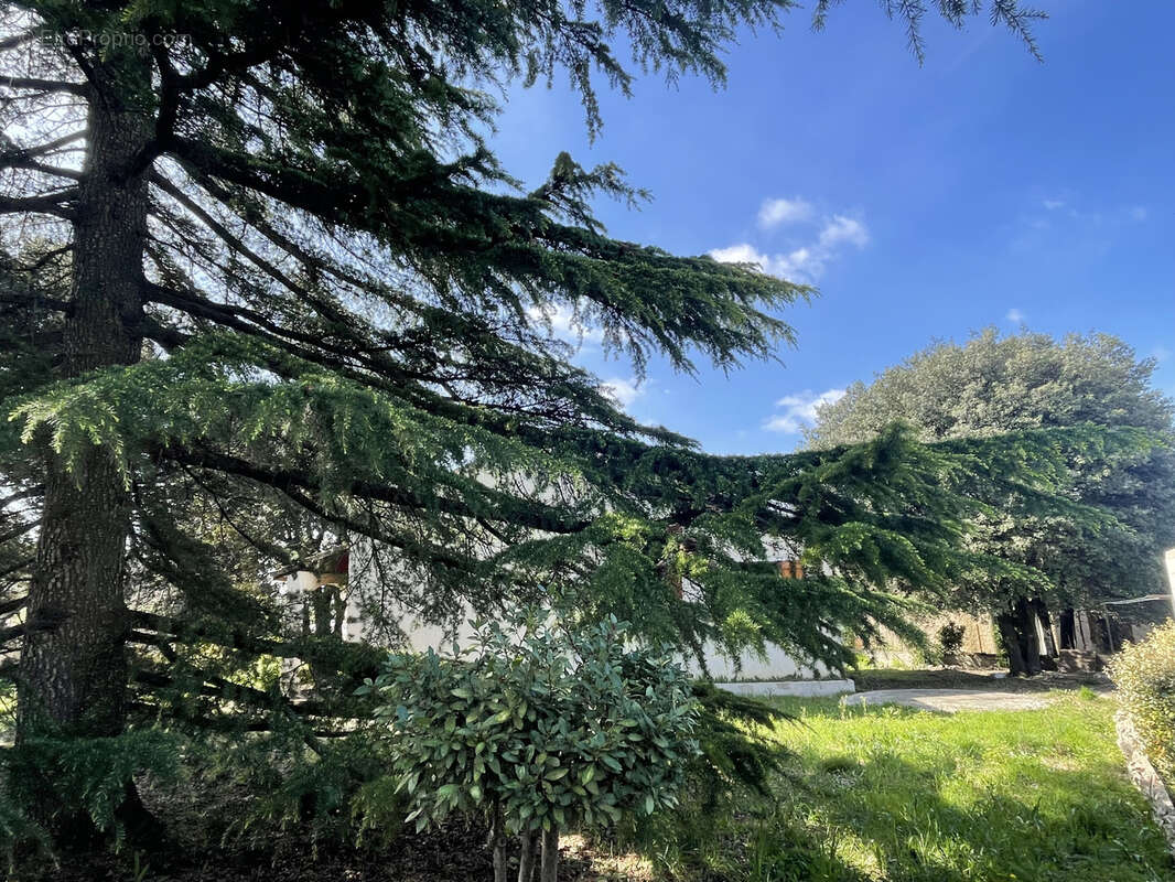 Maison à ARGELLIERS