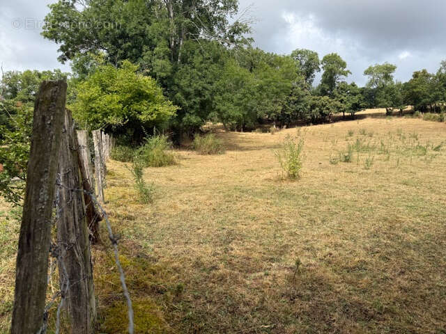 Terrain à MONTCEL
