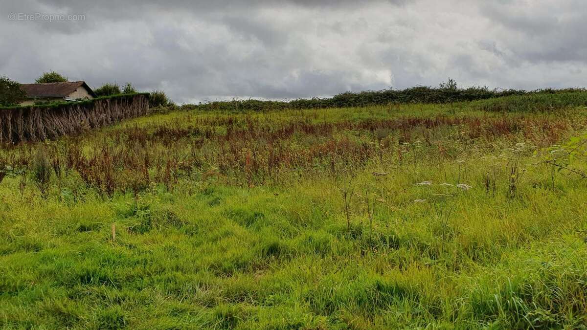Terrain à VIEUX-MANOIR