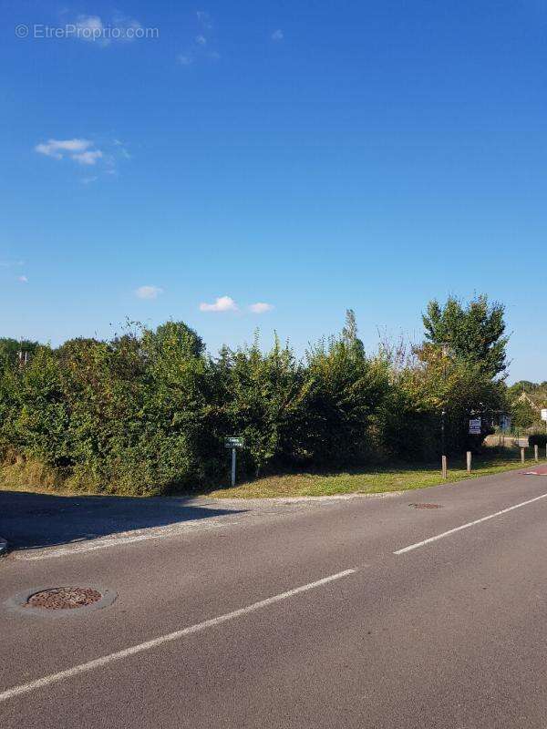 Terrain à LA COUR-MARIGNY