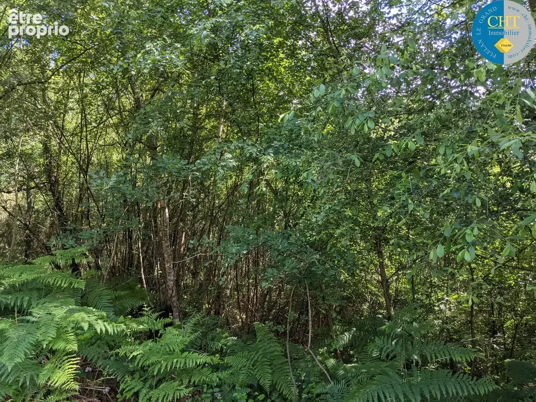 À Plélan-Le-Grand (35), Herbage de 13 000m2 et Parcelle de bois de 2 150m2 - photo 9