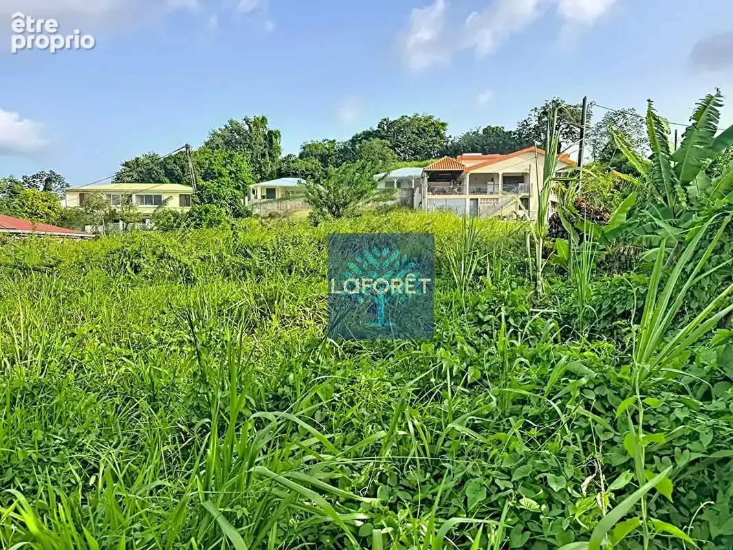 Photo Terrain à Le Lamentin au prix de 305 000€