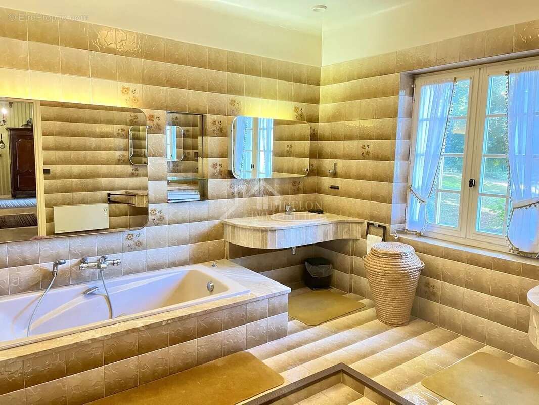 Maison 7 pièces - 310 m² - terrain - photo 7