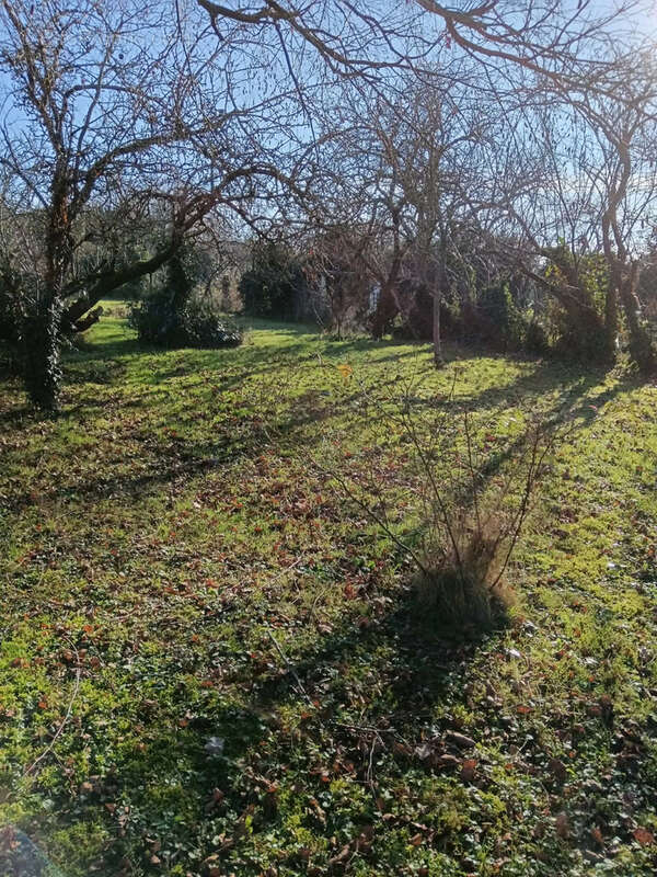 Maison à CEAUX-EN-COUHE