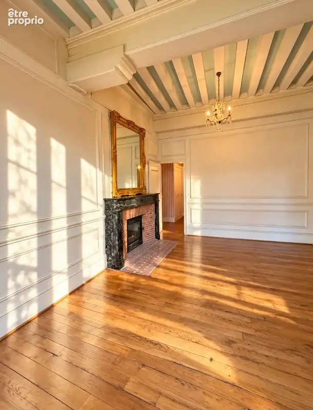 Propriétés de caractere- 300 m2 - au cozur du quartier historique de Bourbon Lancy - photo 32