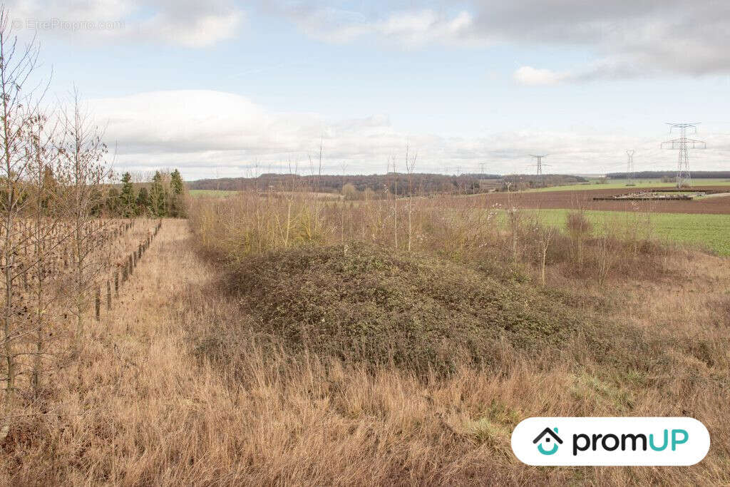 Terrain à SOREL-EN-VIMEU