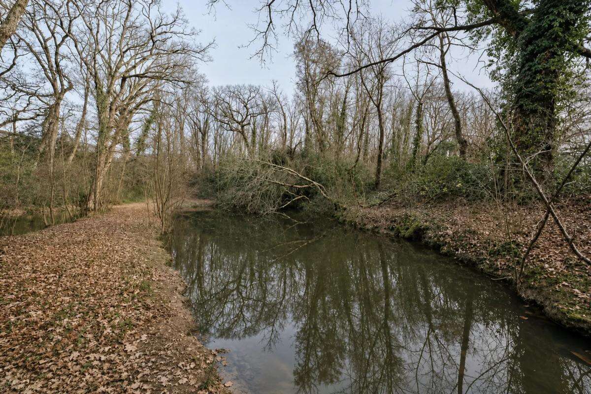 Domaine de caractère à restaurer – 500 m² –3,6 ha – accès rapide - photo 28