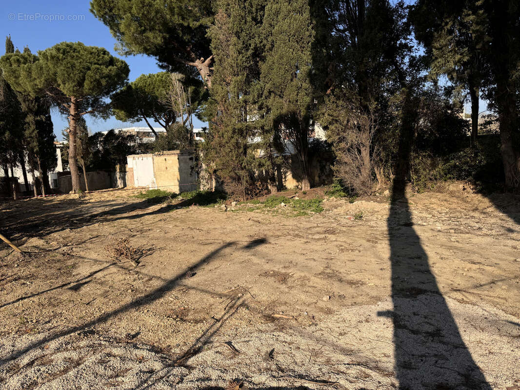 Terrain à MARSEILLE-8E