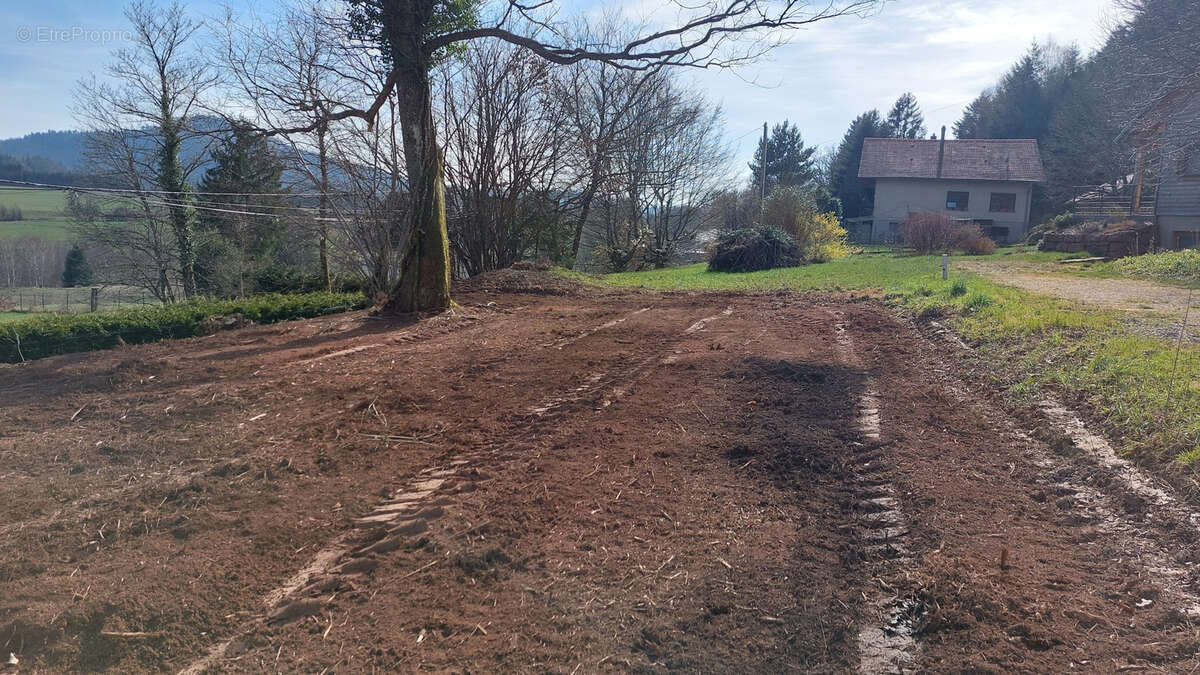 Terrain à BOURG-BRUCHE