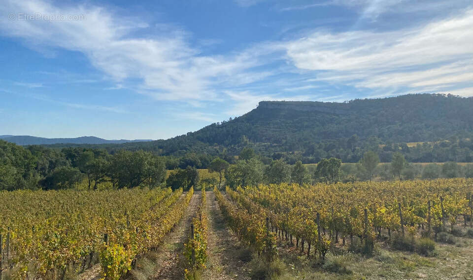 Terrain à LAURET