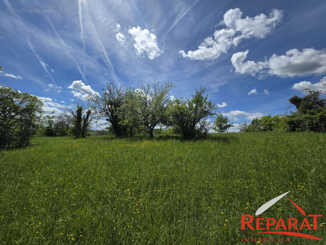 Terrain à SAINT-AULAIRE