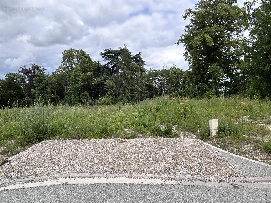 Terrain à PARGNY-LES-REIMS