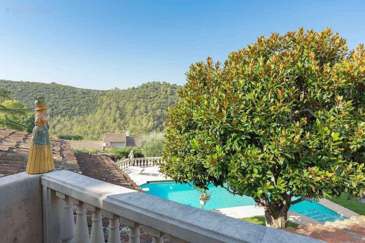 BIOT - Villa Provençale - Piscine - Calme absolu - photo 15