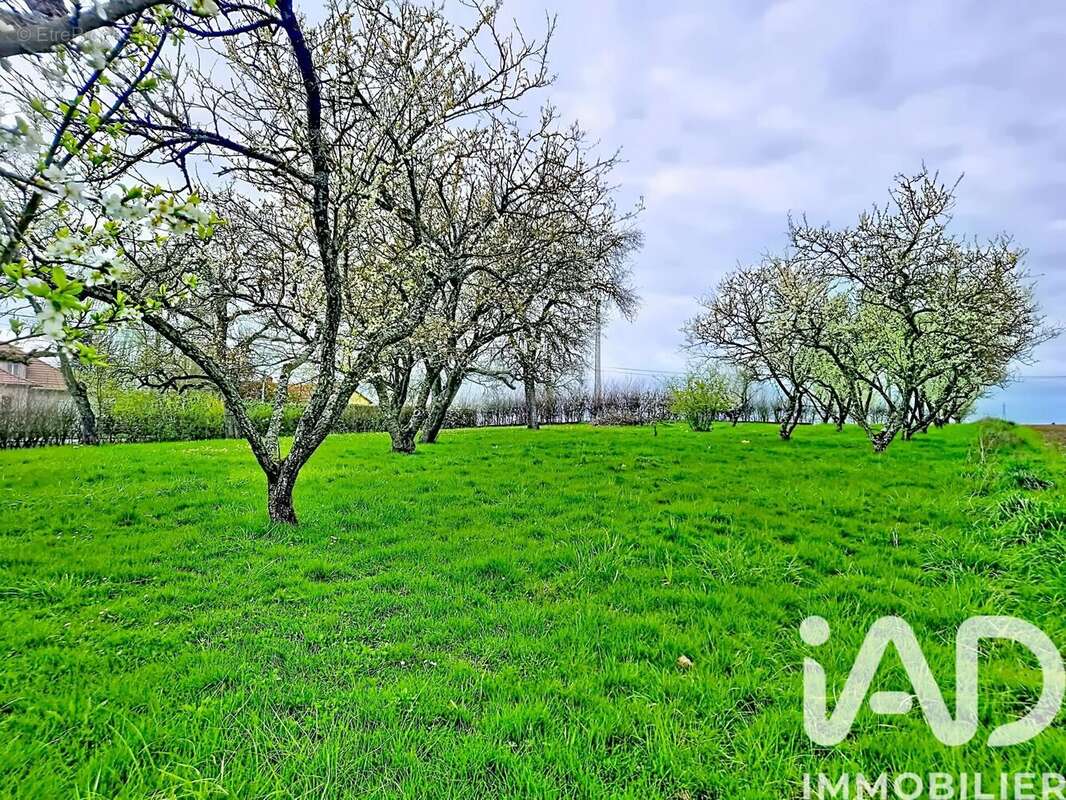 Photo 3 - Terrain à JOUAVILLE