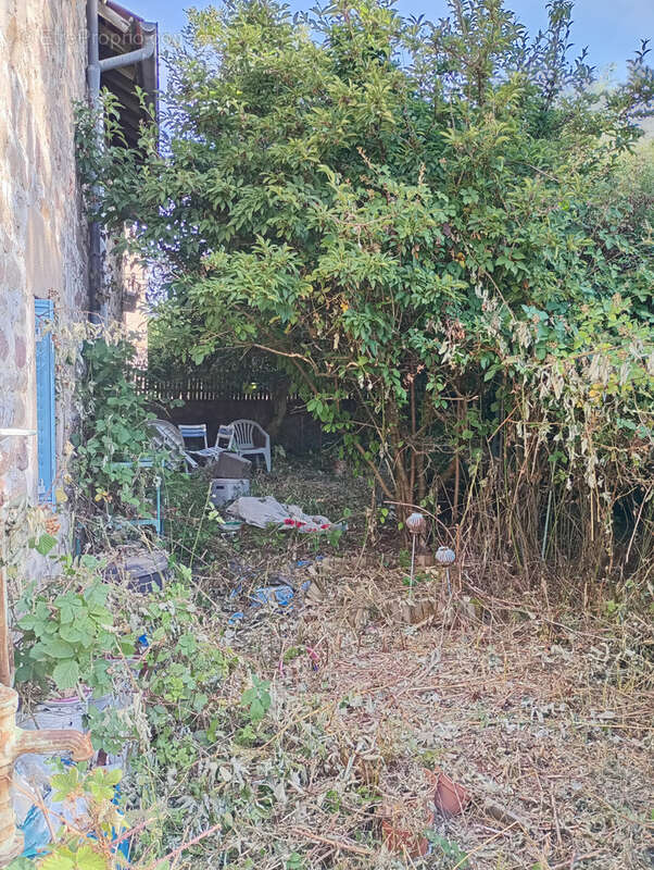 Maison de village de 60m2 sur 265 m2 de terrain - photo 15
