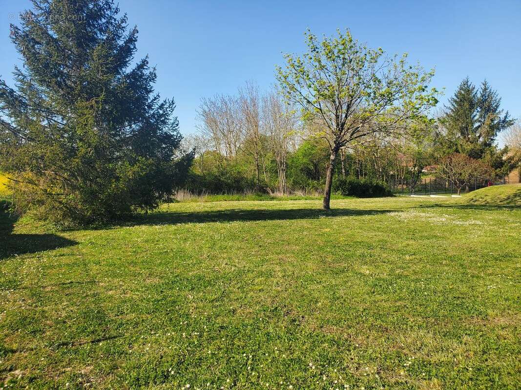 Terrain à CHAMPNIERS