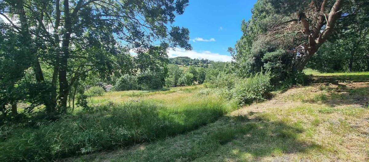 Terrain à CRAPONNE-SUR-ARZON