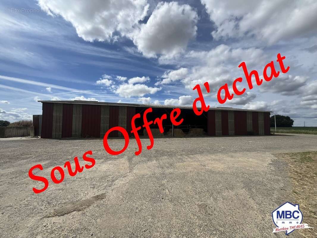 Commerce à BEAUSSE
