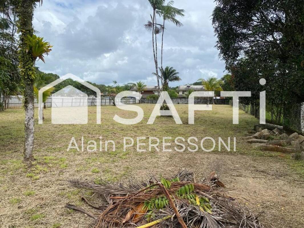 Photo 1 - Terrain à MONTSINERY-TONNEGRANDE