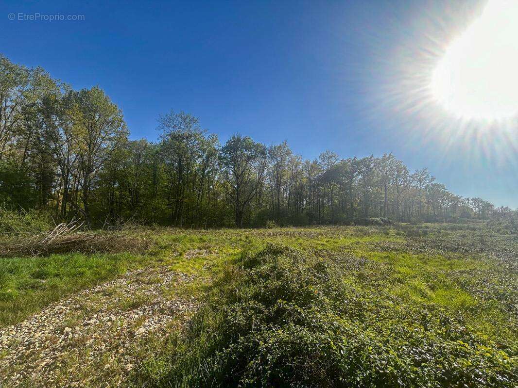 Terrain à VILLEFRANCHE-SUR-CHER