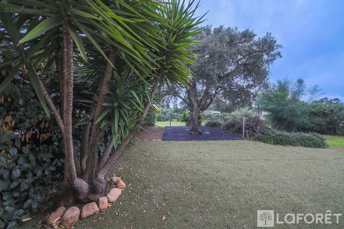 Appartement à LECCI