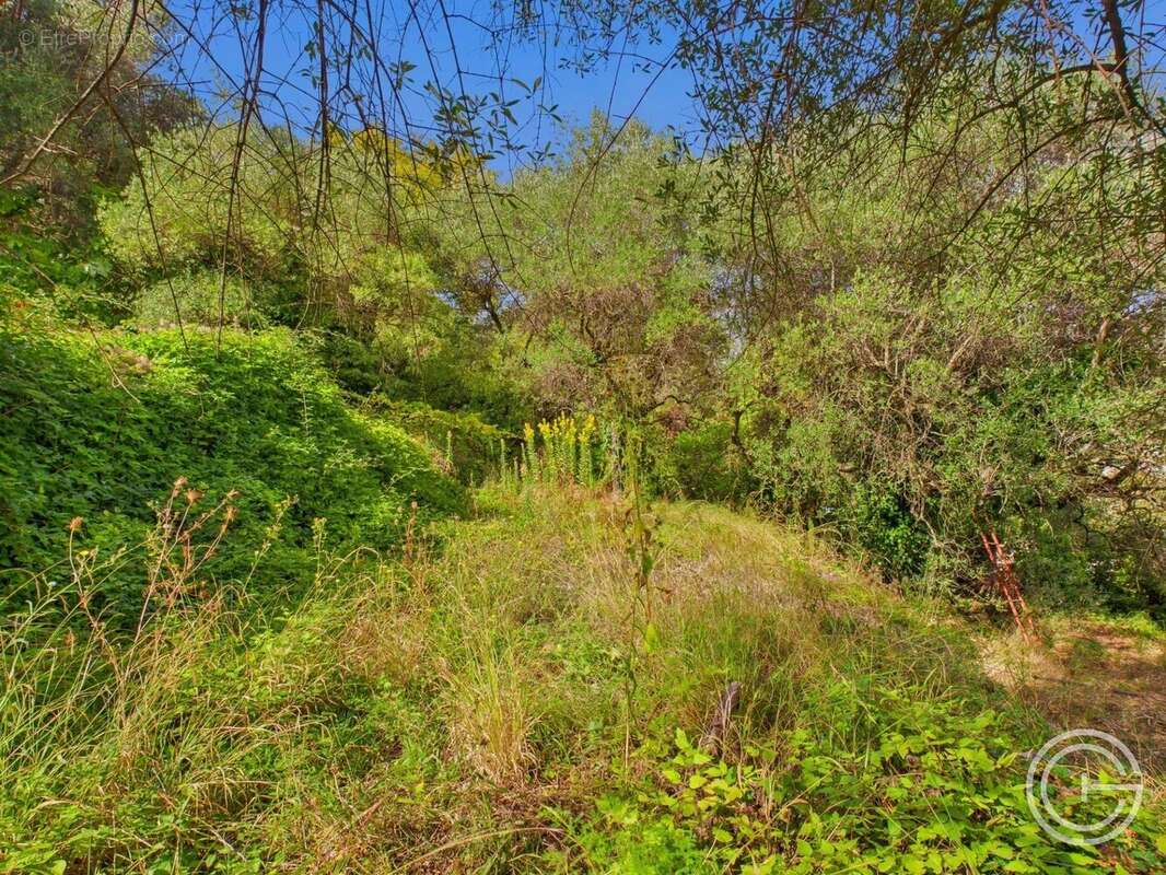 Terrain Constructible - 1.329m² - Chemin de Rimiez - ST ANDRE DE LA ROCHE - photo 6