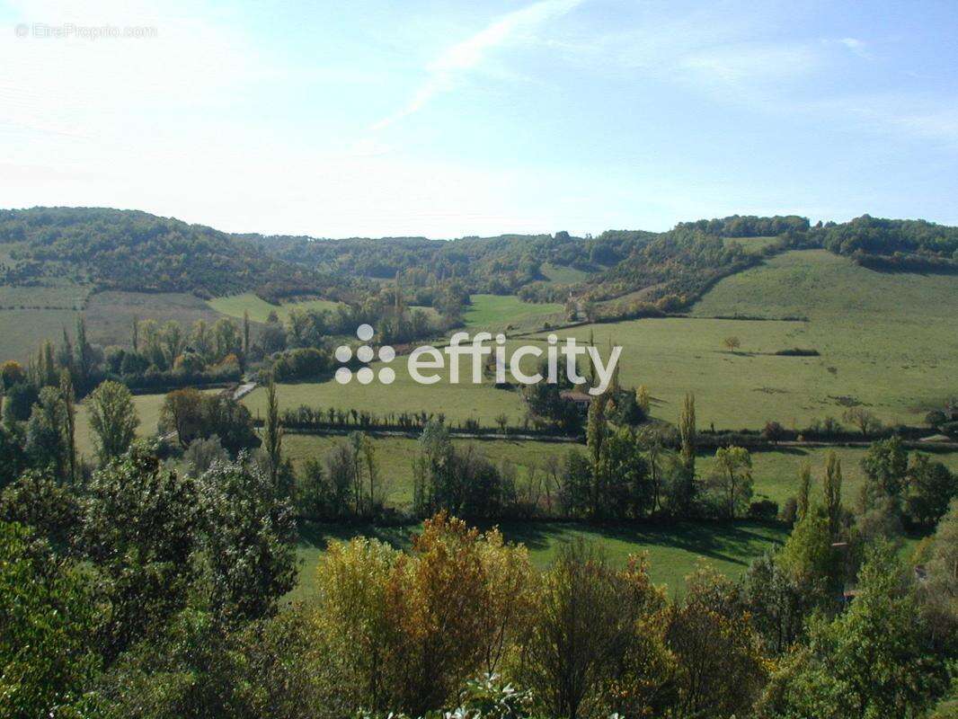 Maison 167 m² à Cordes-Sur-Ciel  - photo 12