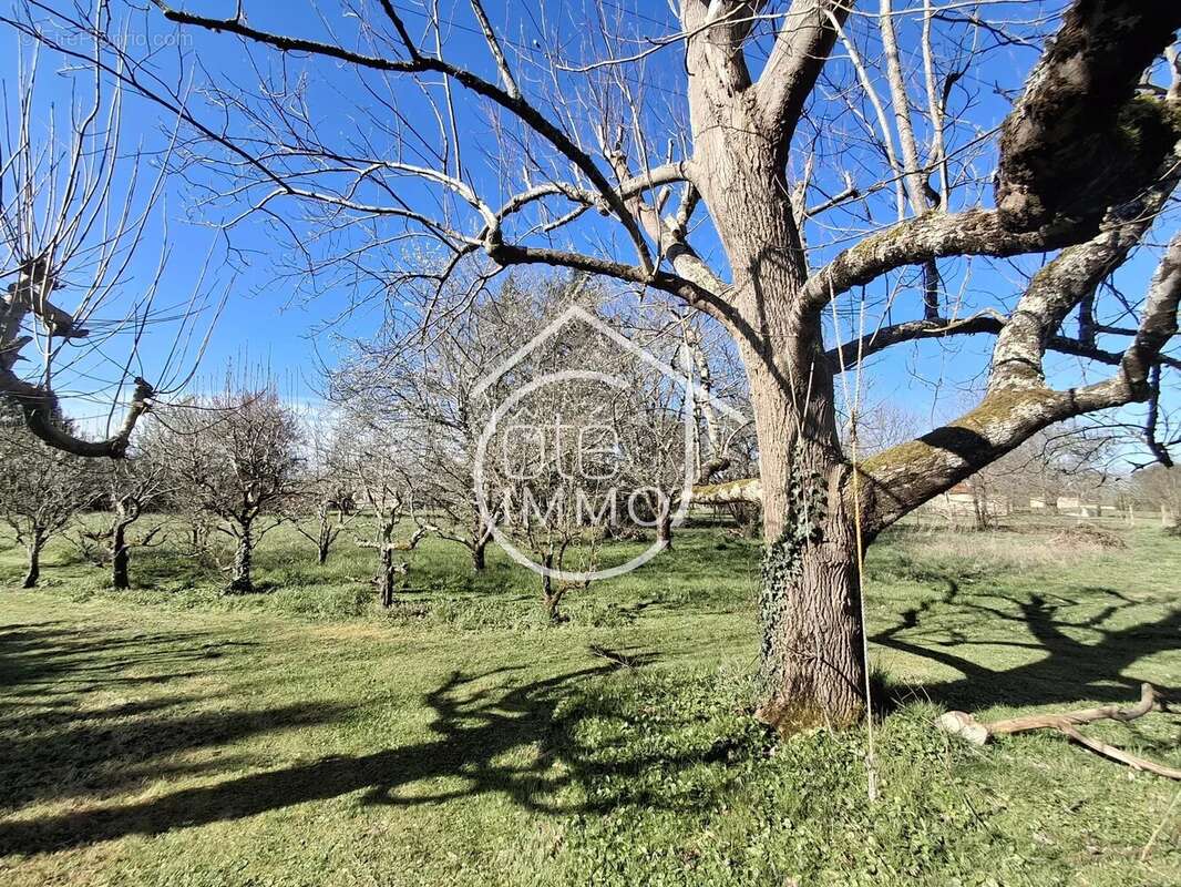 Maison à COURS-DE-PILE