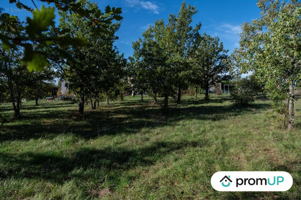 Terrain à LALBENQUE