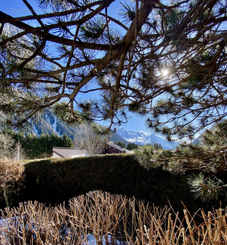 Appartement à CHAMONIX-MONT-BLANC